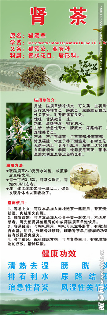 猫须草肾茶展架