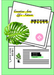 创意DM 单