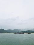 大海