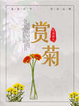 重阳赏菊