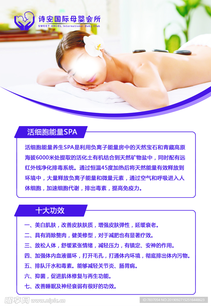 活细胞能量SPA