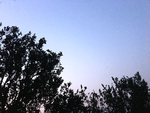 傍晚天空