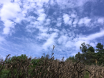 蓝天白云