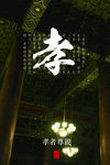 孝