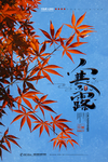 寒露