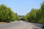 路