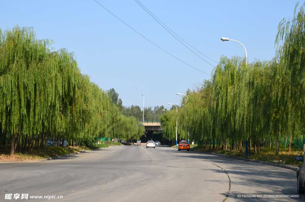 路