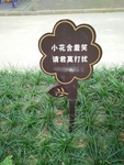 花形花草牌