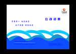蓝色公司资心封面