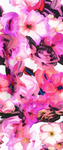 回位 乱花 效果图 CMYK