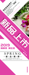 新款上市促销