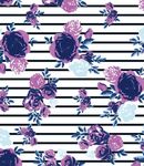 手绘花 白花