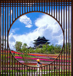 北京世园会
