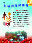 包装西红柿比赛