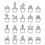 手绘风格植物简笔画