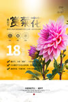 重阳节