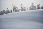 雪原