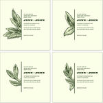 欧式花纹