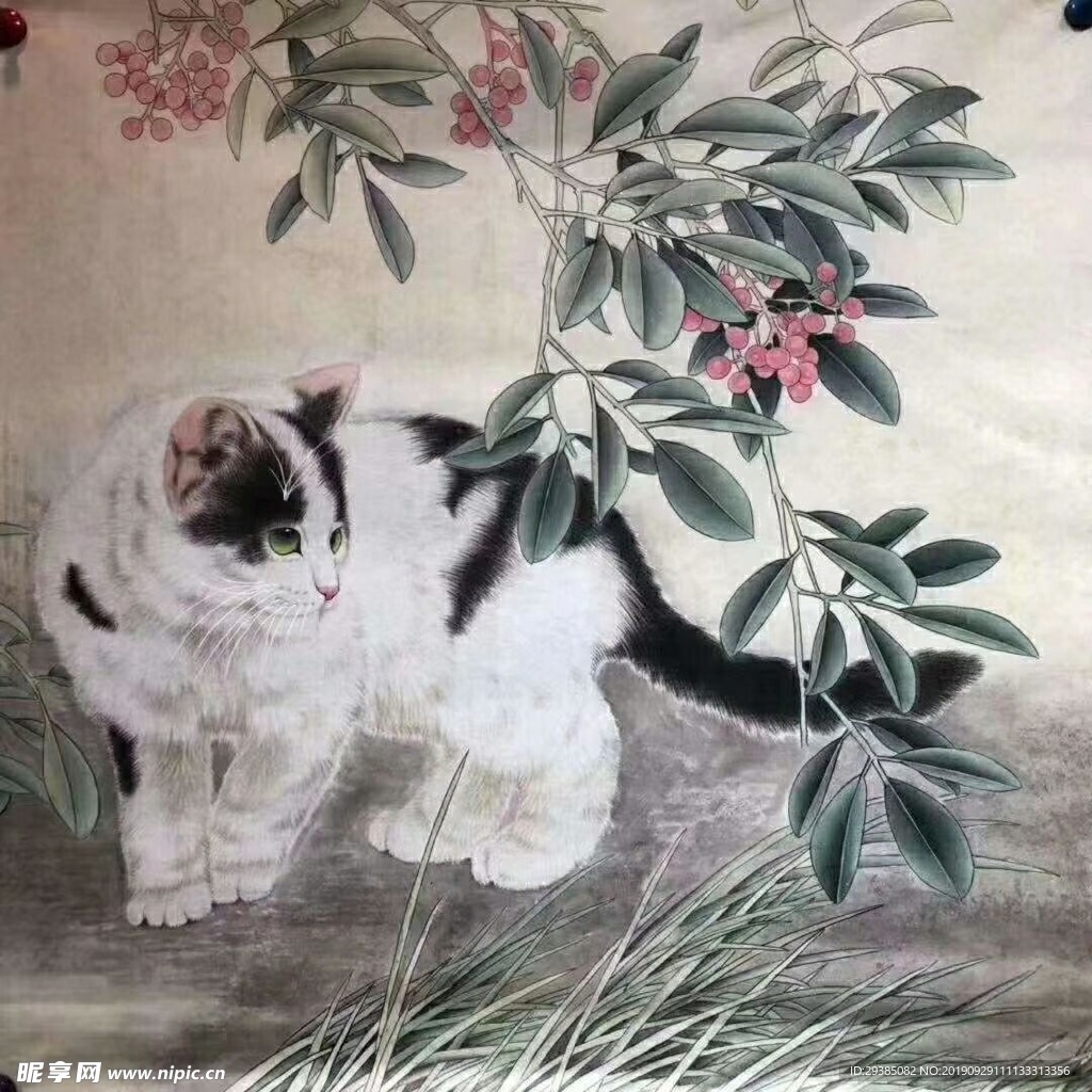 小花猫