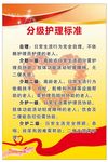 分级护理标准