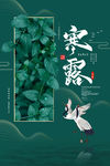 寒露海报