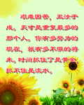 校园文化