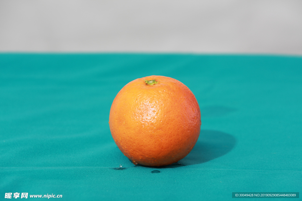 橙子西柚
