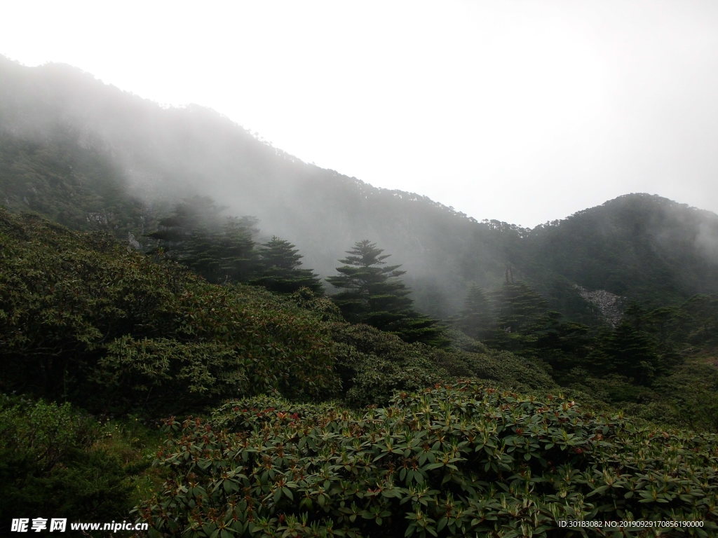 苍山风光