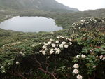 苍山洗马潭风景