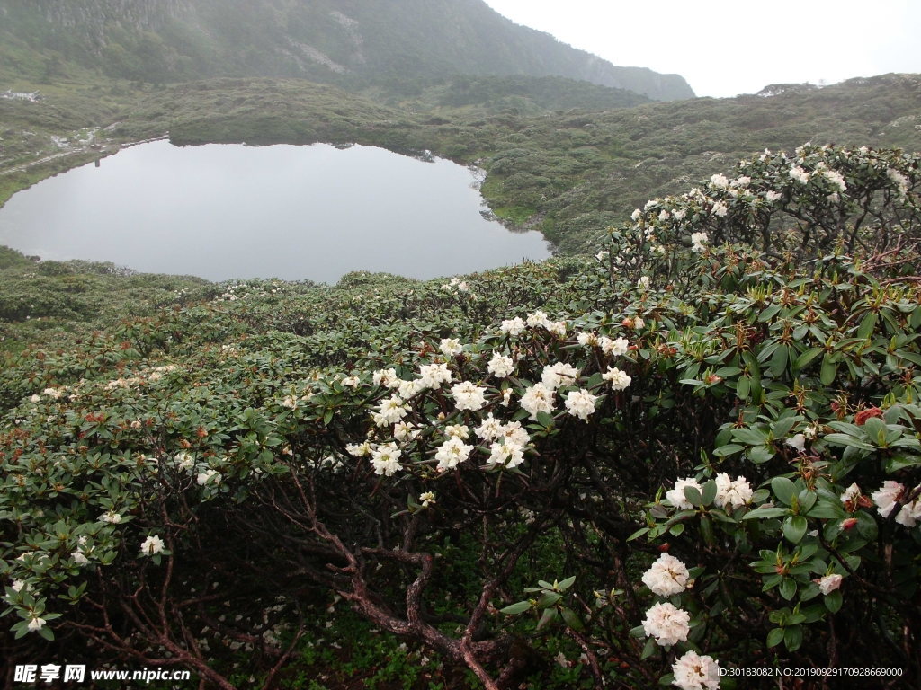 苍山洗马潭风景