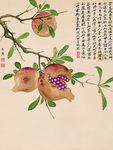 石榴