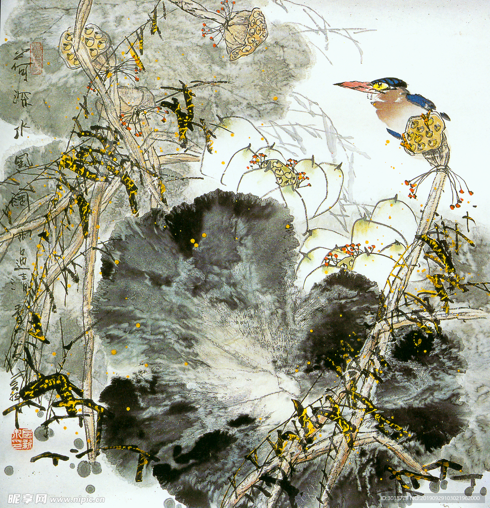 国画花鸟