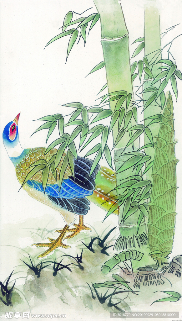 国画花鸟