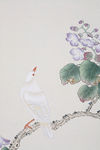 国画花鸟