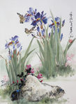 国画花鸟