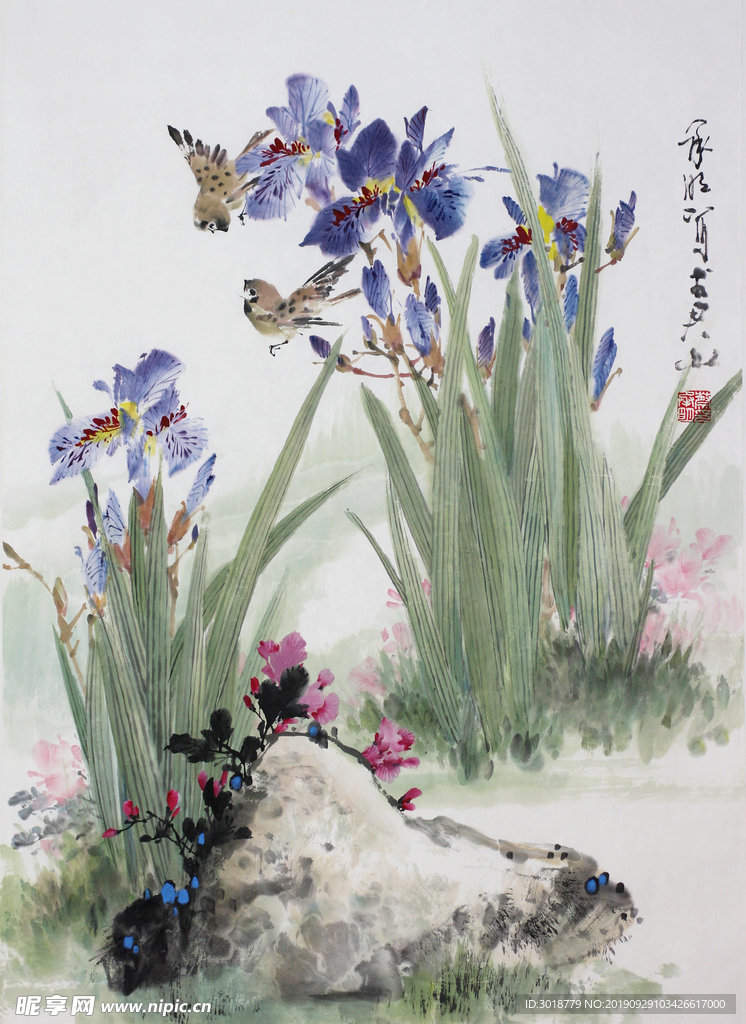 国画花鸟