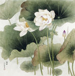 国画花鸟