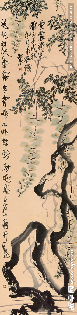 国画花鸟