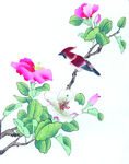 国画花鸟