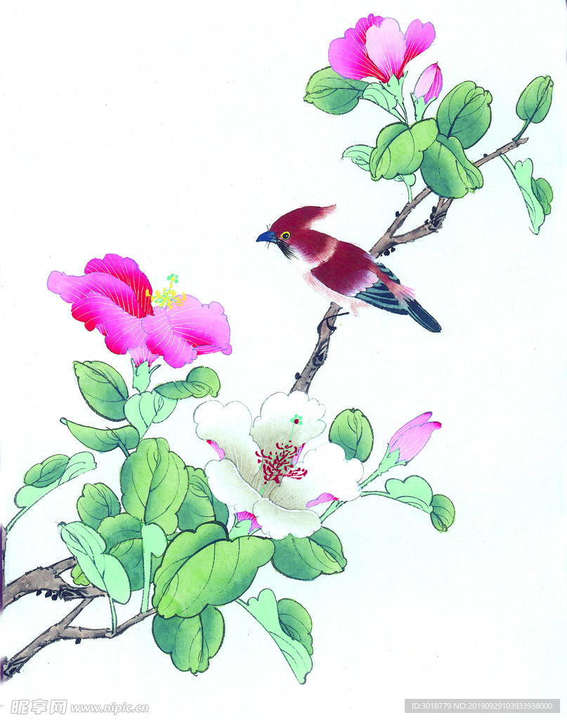 国画花鸟