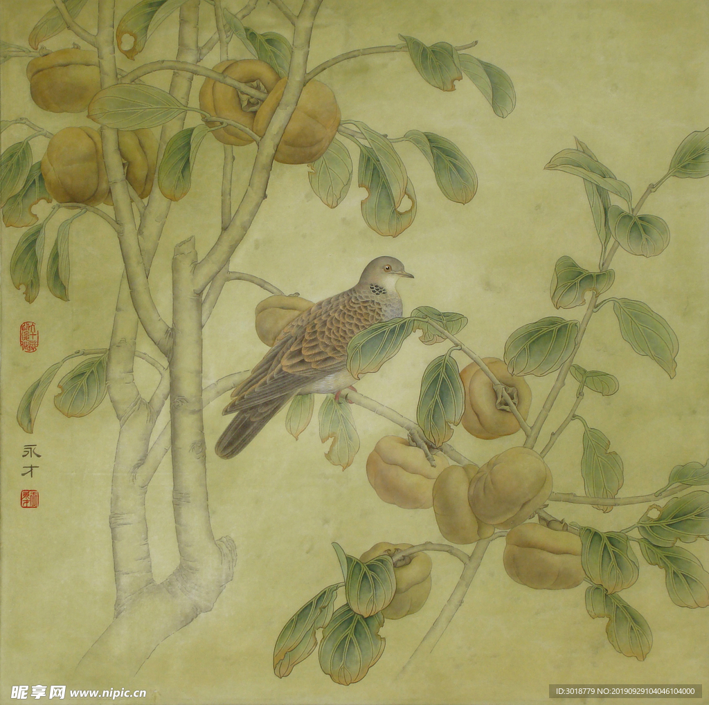 国画花鸟