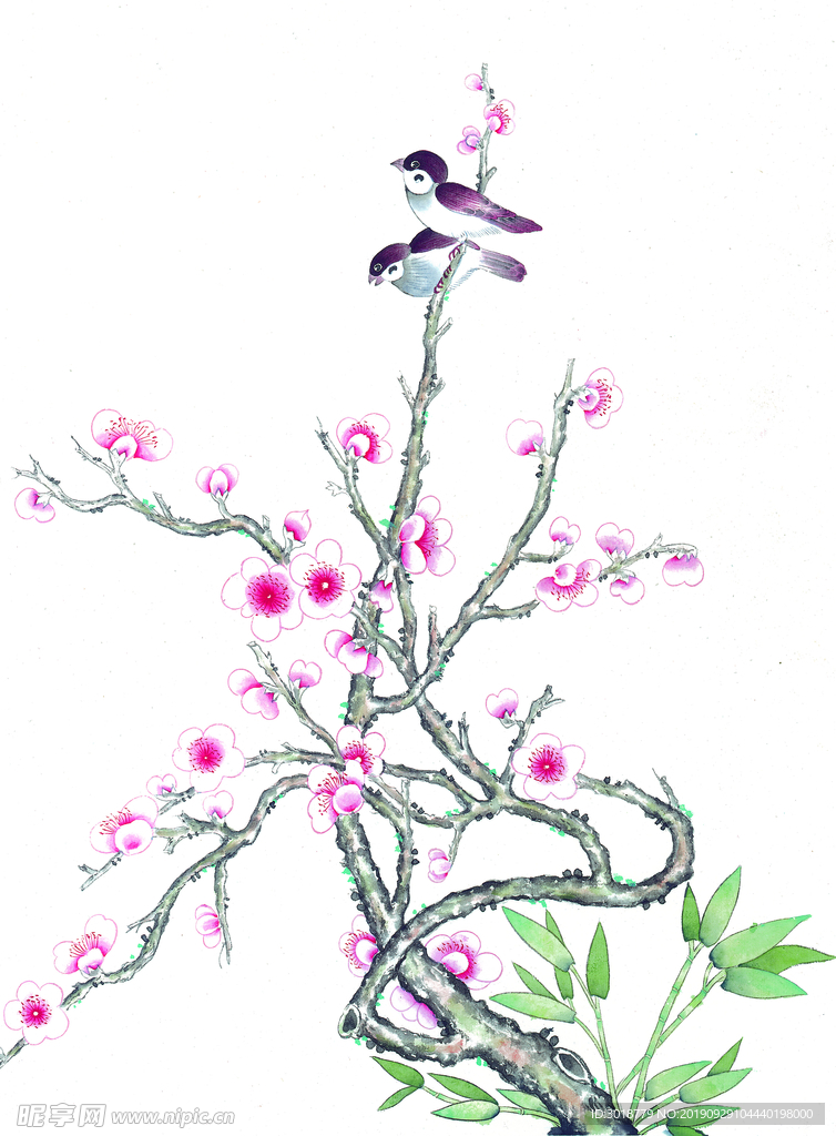 国画花鸟