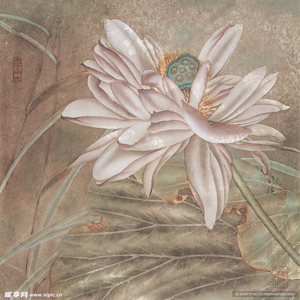 国画花鸟