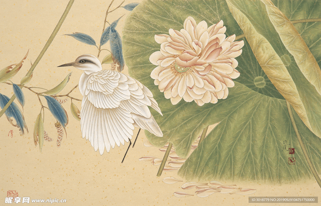 国画花鸟