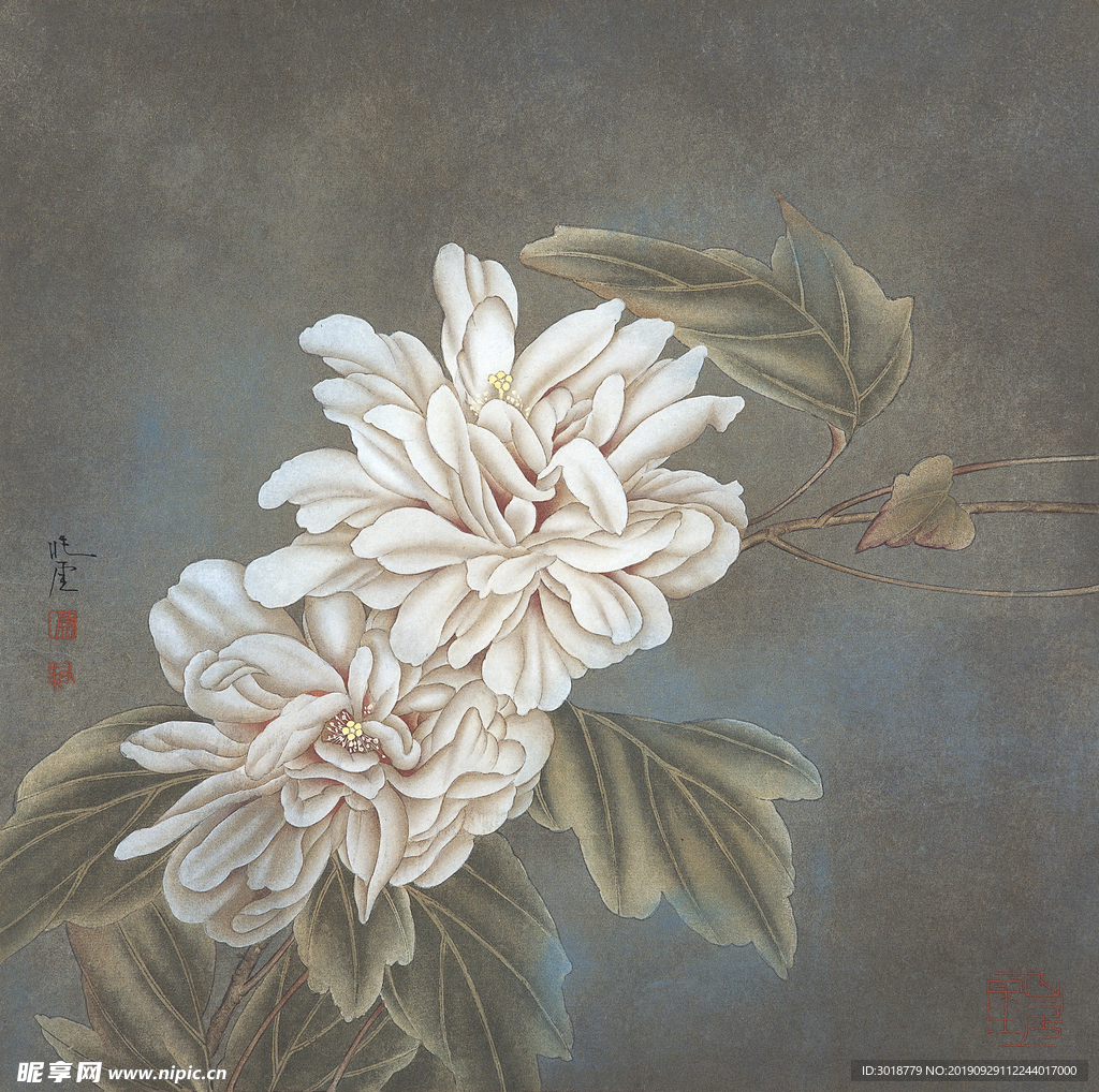国画花鸟