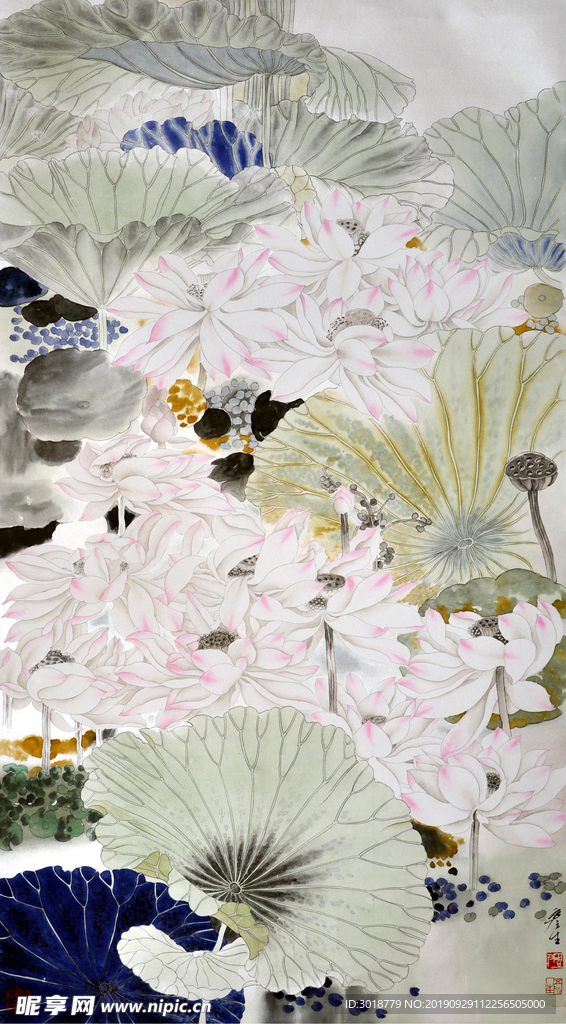 国画花鸟