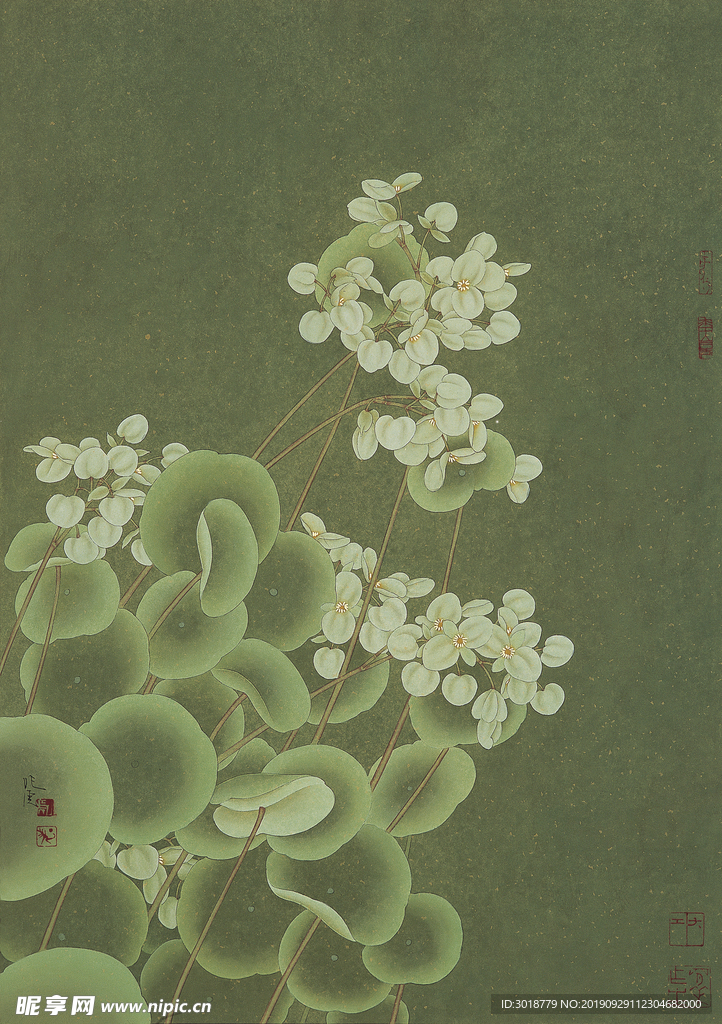 国画花鸟