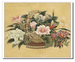 国画花鸟