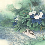 国画花鸟