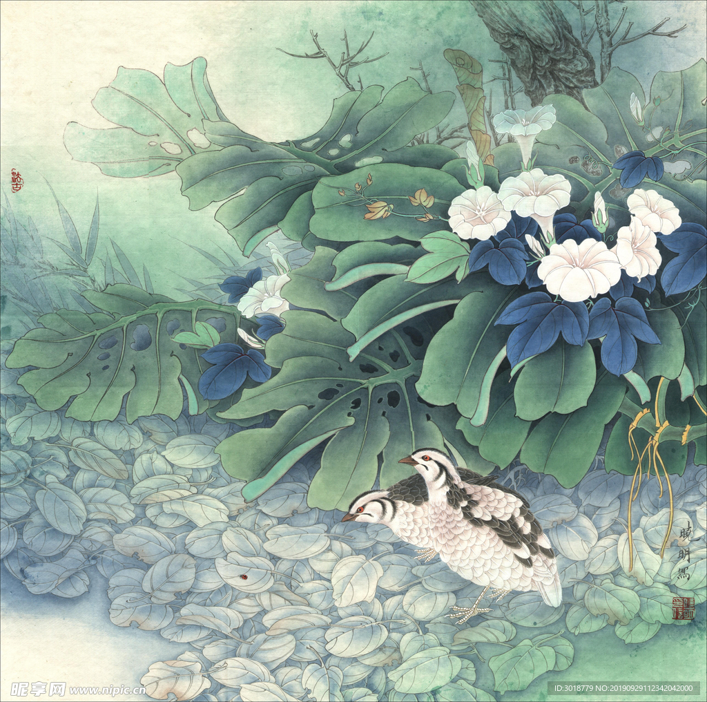 国画花鸟
